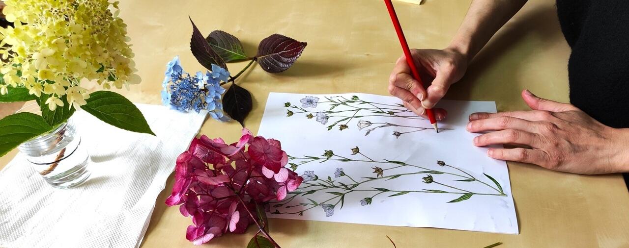 Atelier d'initiation au dessin botanique