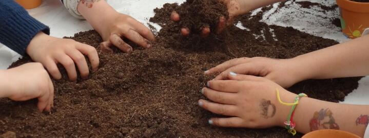 Les mains dans la terre