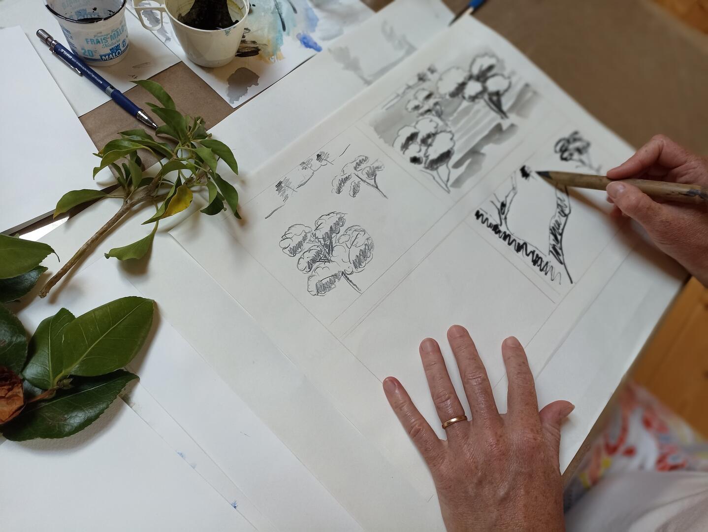 latelierdudehors.com_adultes_croquis_0