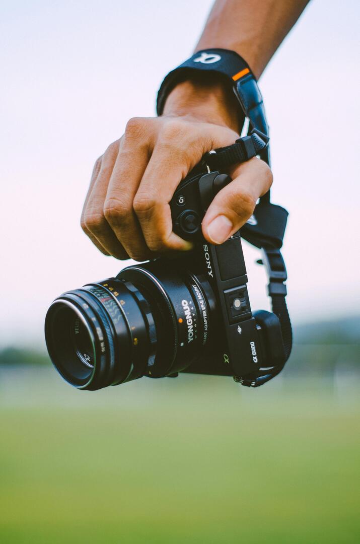 pexels-maxzal-2953179
