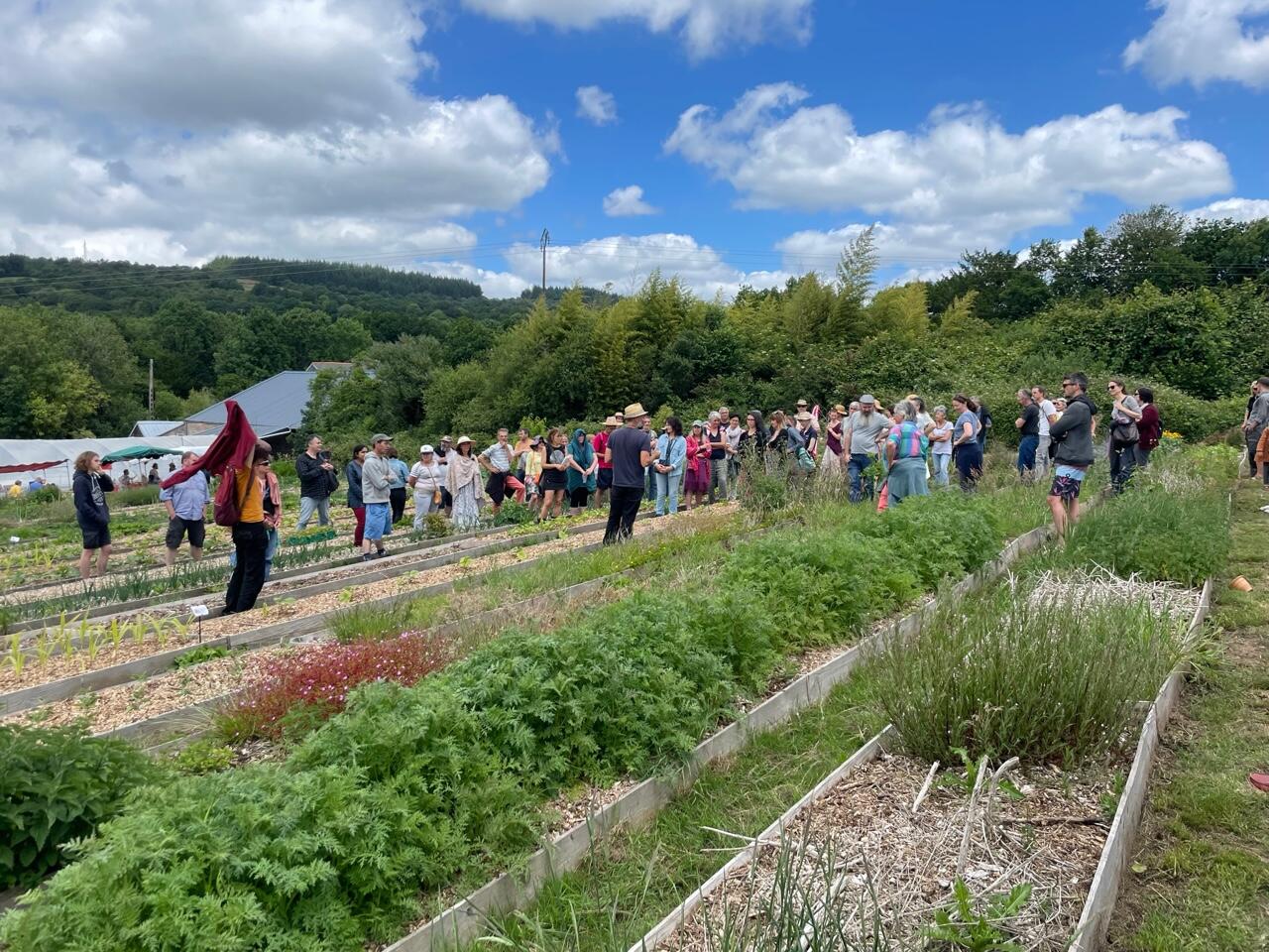 photo potager nourricier
