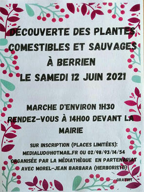 plantes comestibles berrien