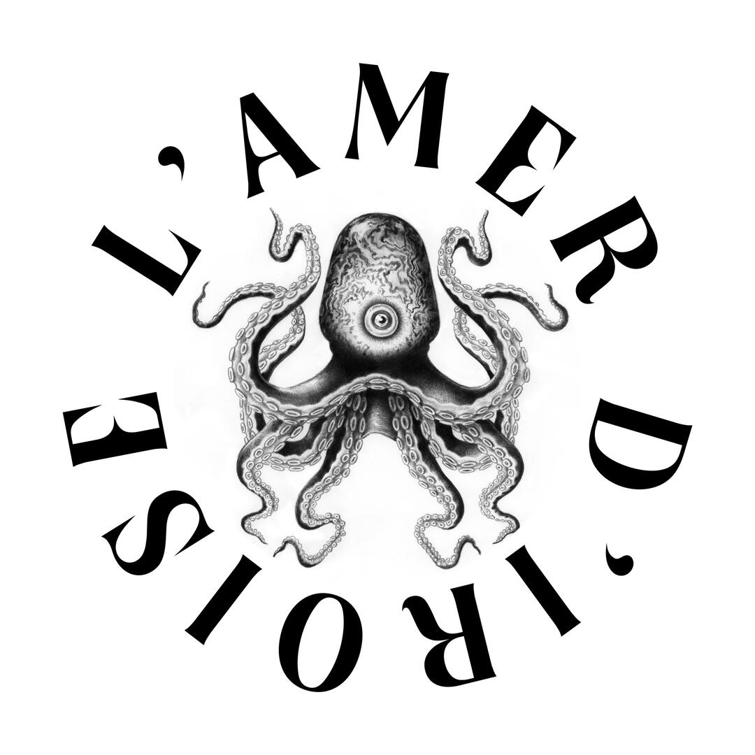 Brasserie L'Amer d'Iroise à Plogoff