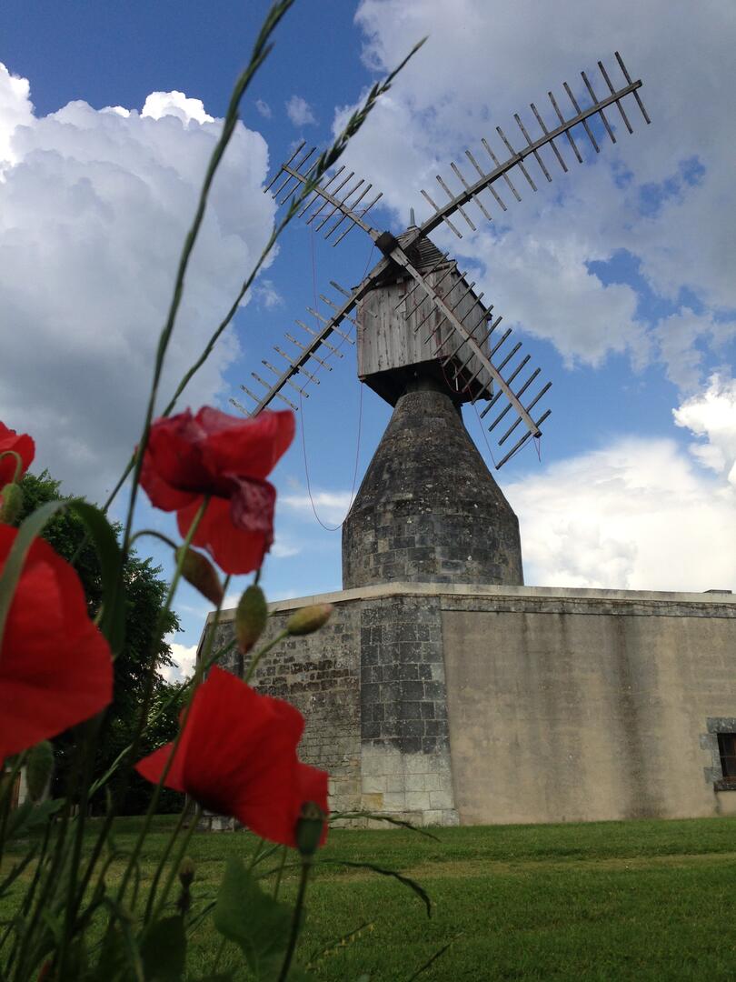 Moulin Puy Ardanne.JPG_1