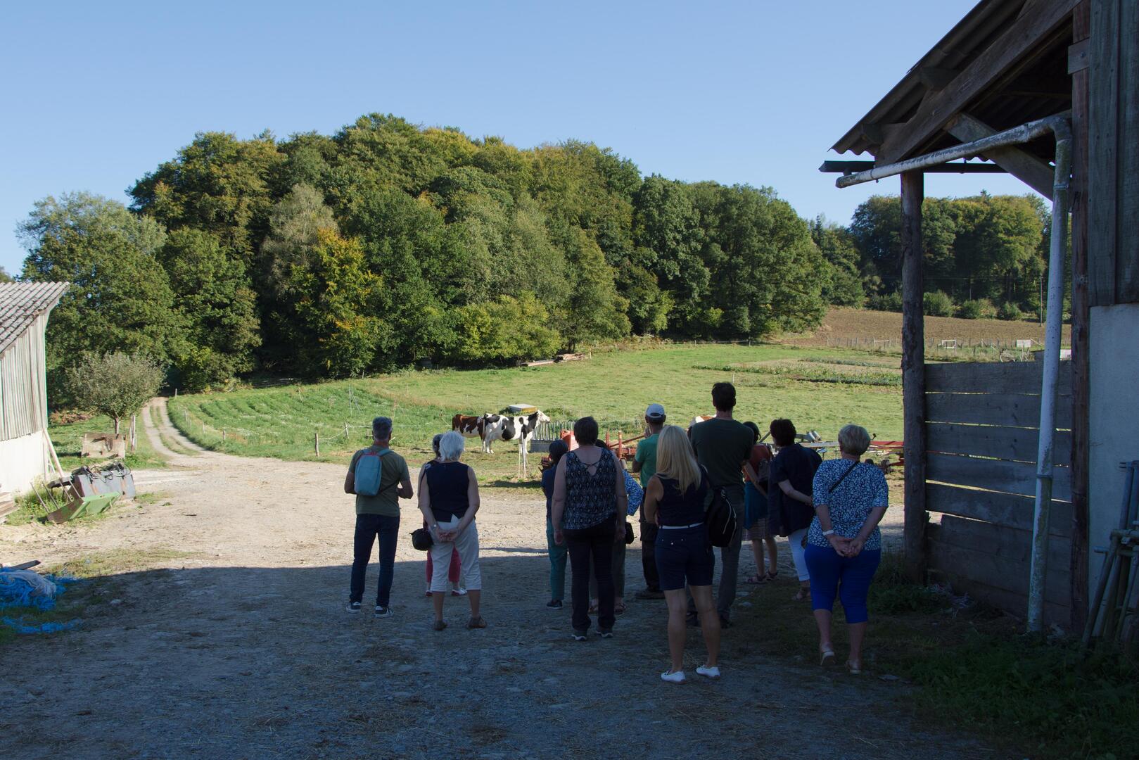 Ferme du Pré Vert