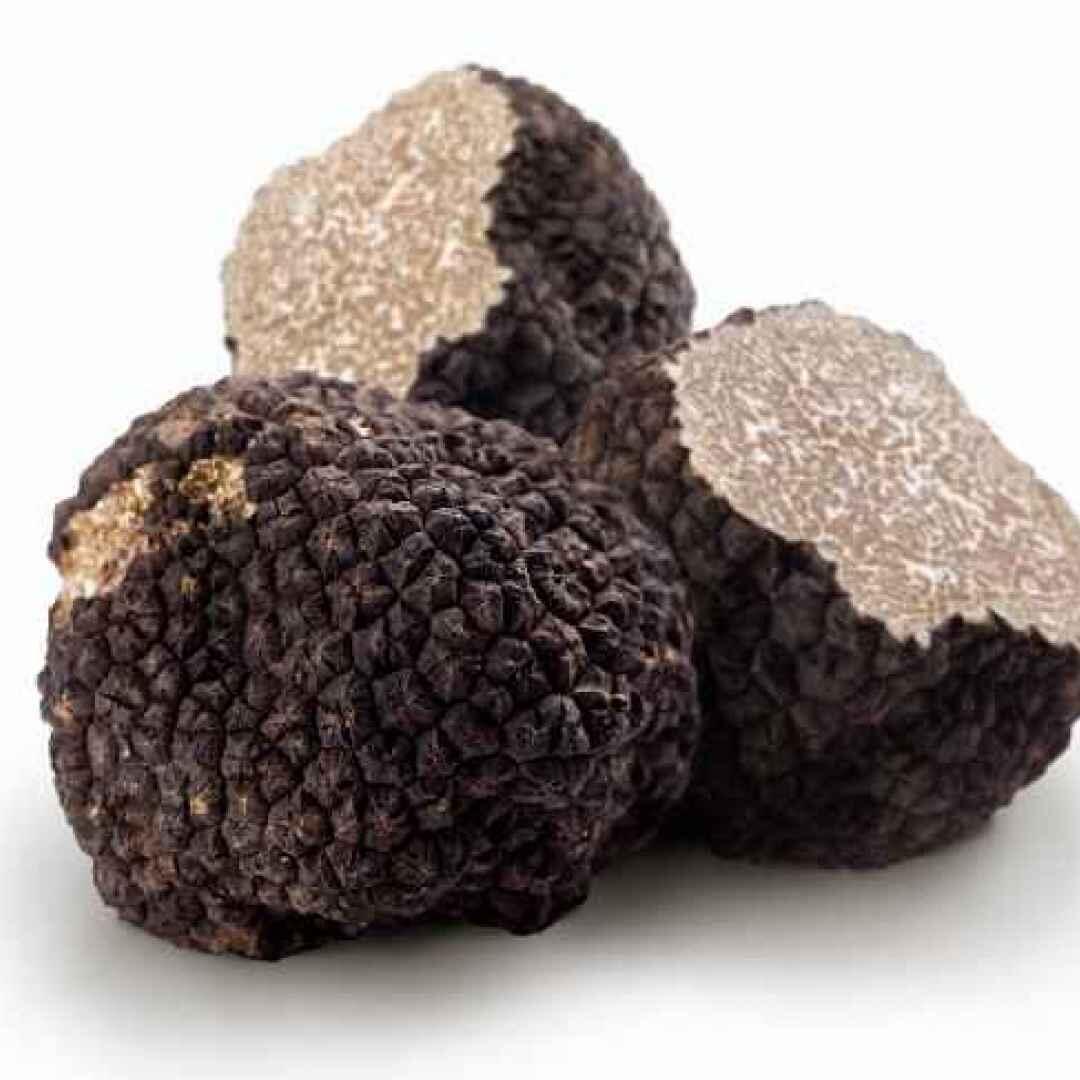 truffes