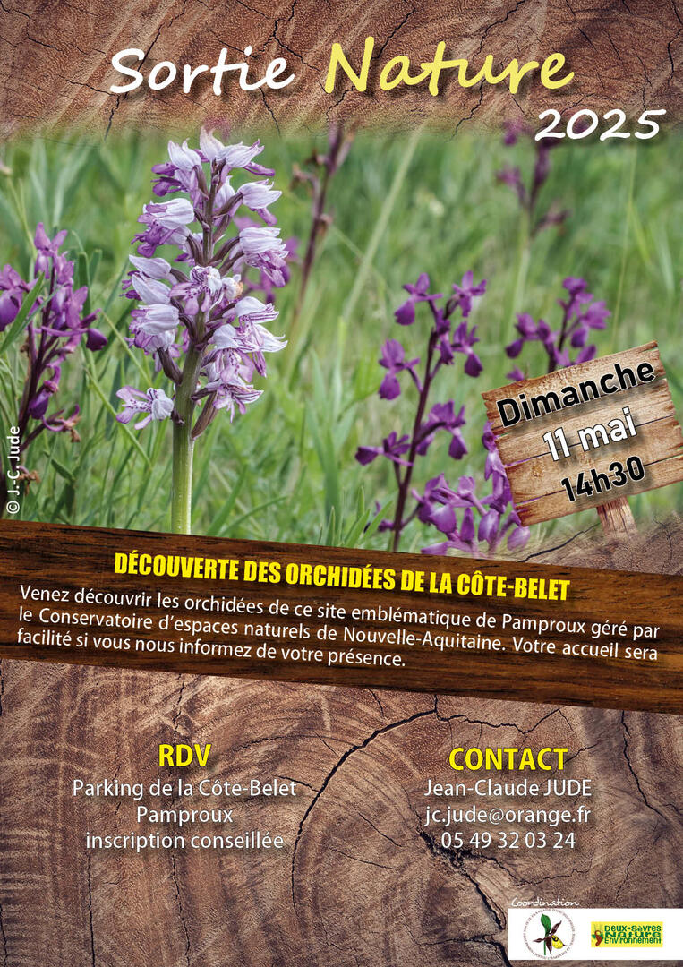 Découverte des orchidées de la Côte-Belet