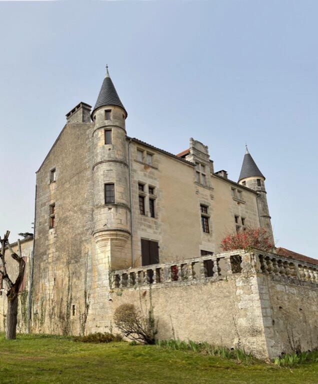 Château de Puymarteau