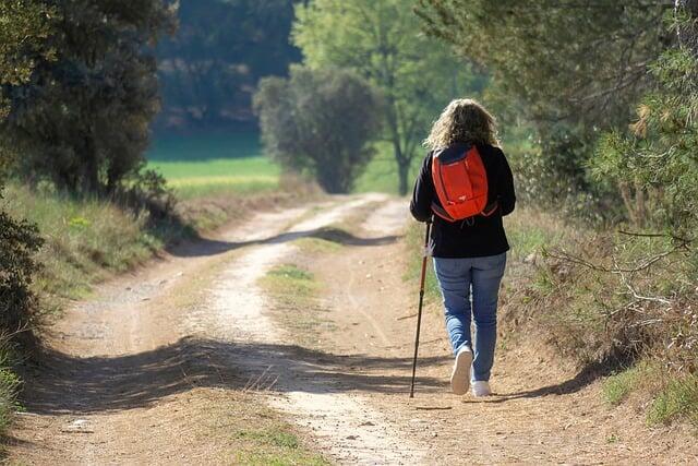 walking-7942311_640