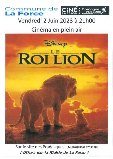 affiche cinéma plein air