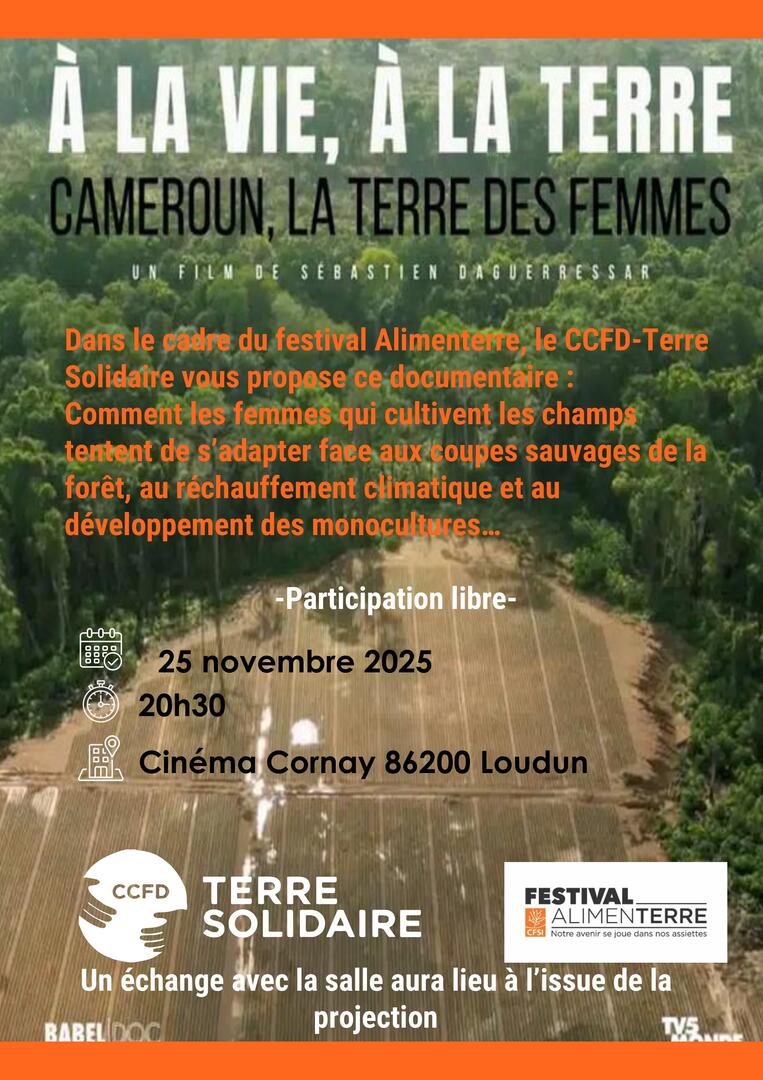 Affiche film_Cameroun