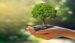 Arbre