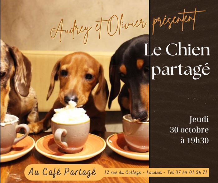 Chien partagé oct