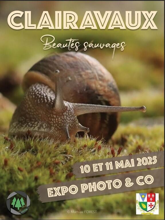 EXPO CLAIRAVAUX
