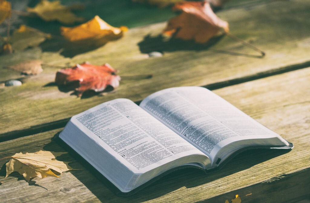 Étranges lectures
