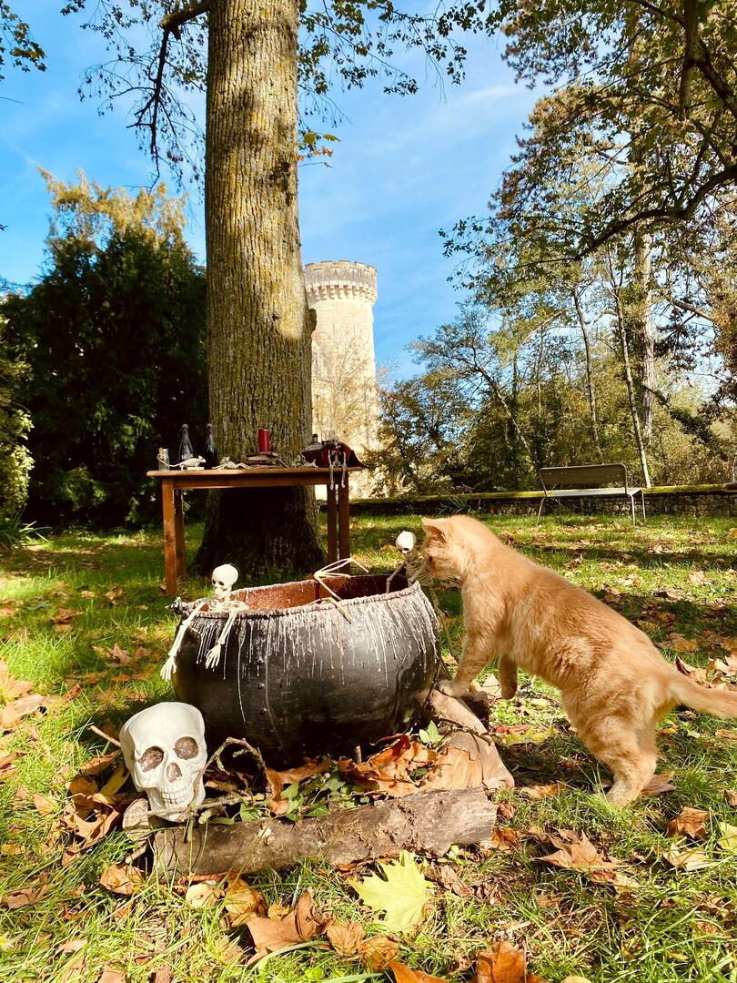 Halloween_2