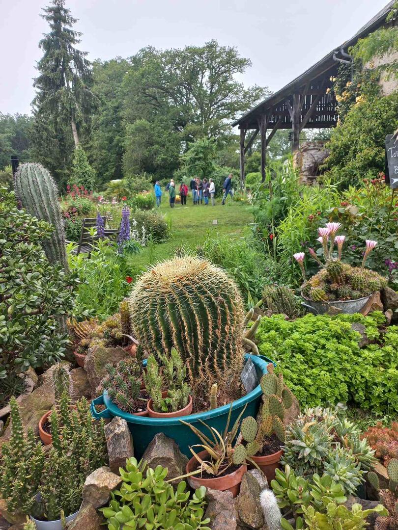 Jardin ouvert 3