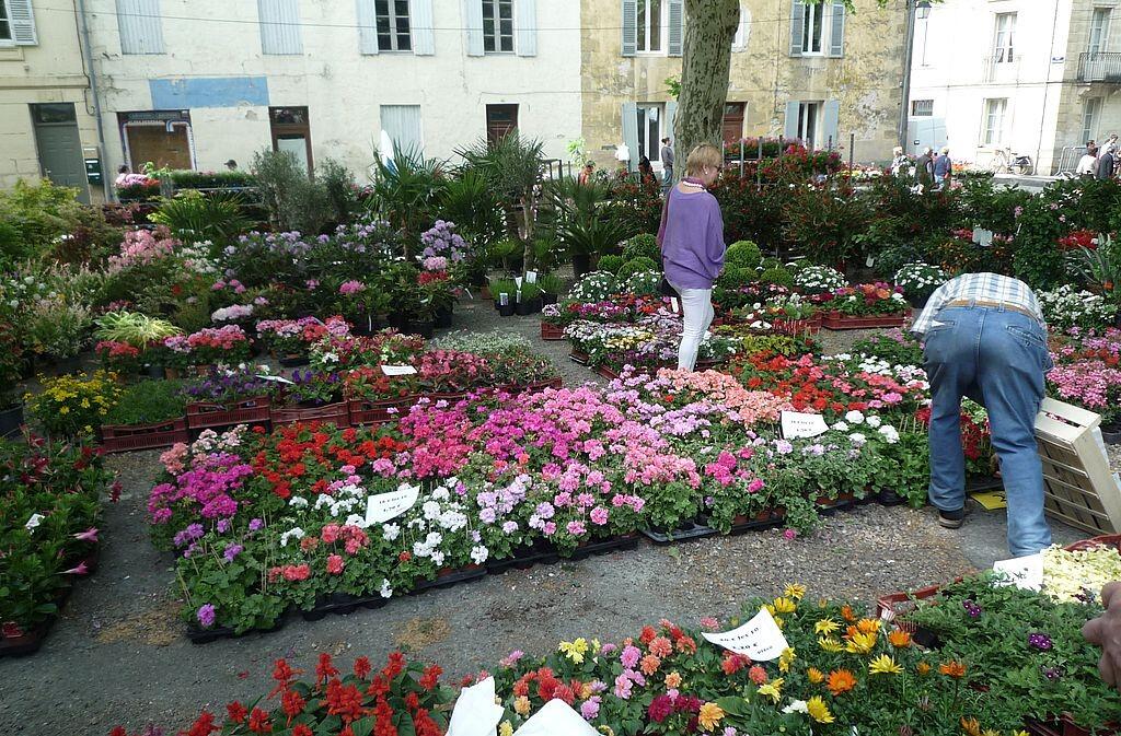 Marché aux fleurs