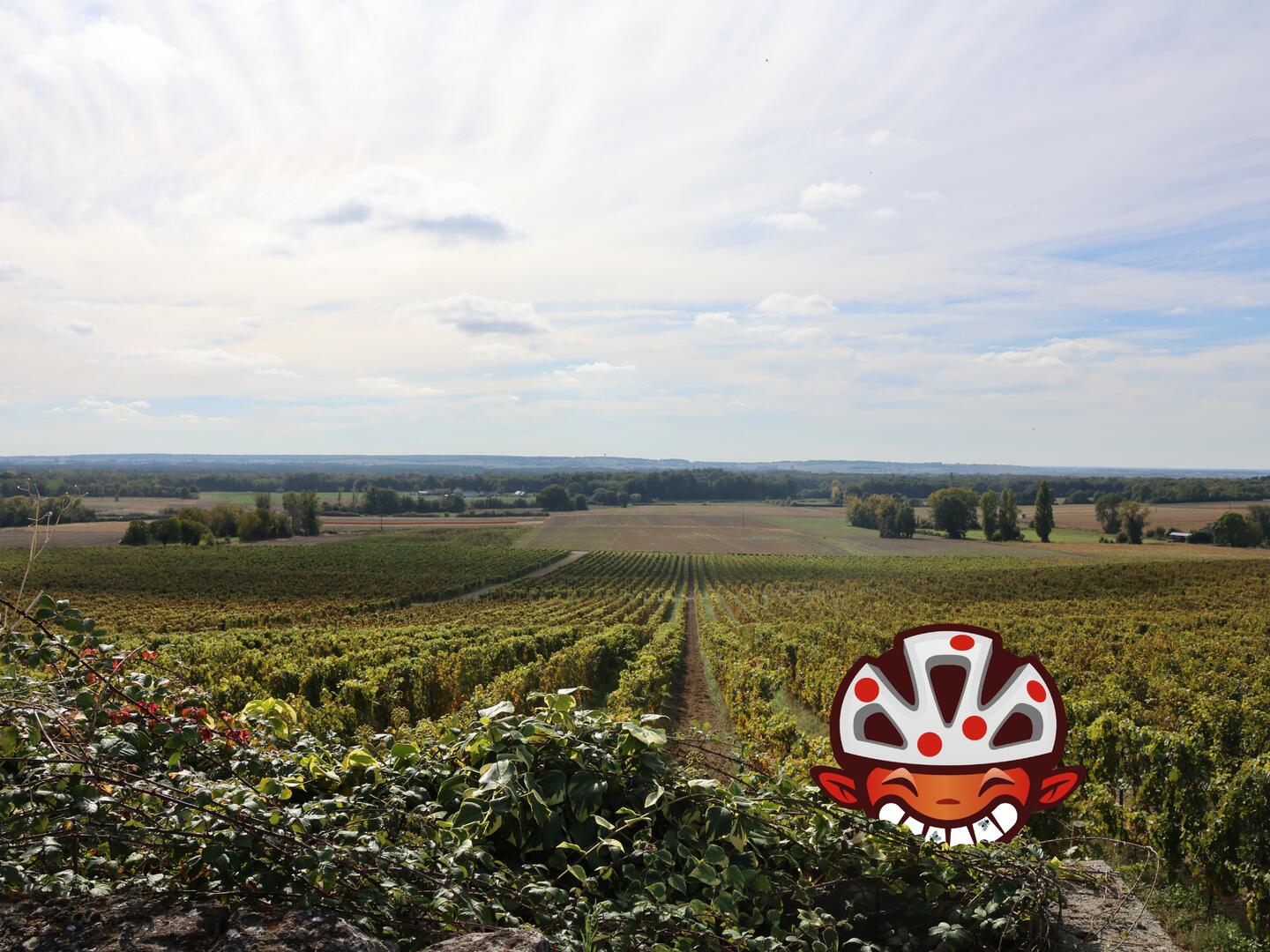 Visuel Terra Aventura SIT - Saix/Roiffé