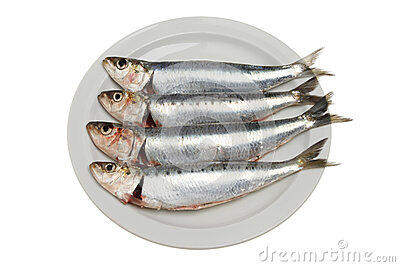 Sardines