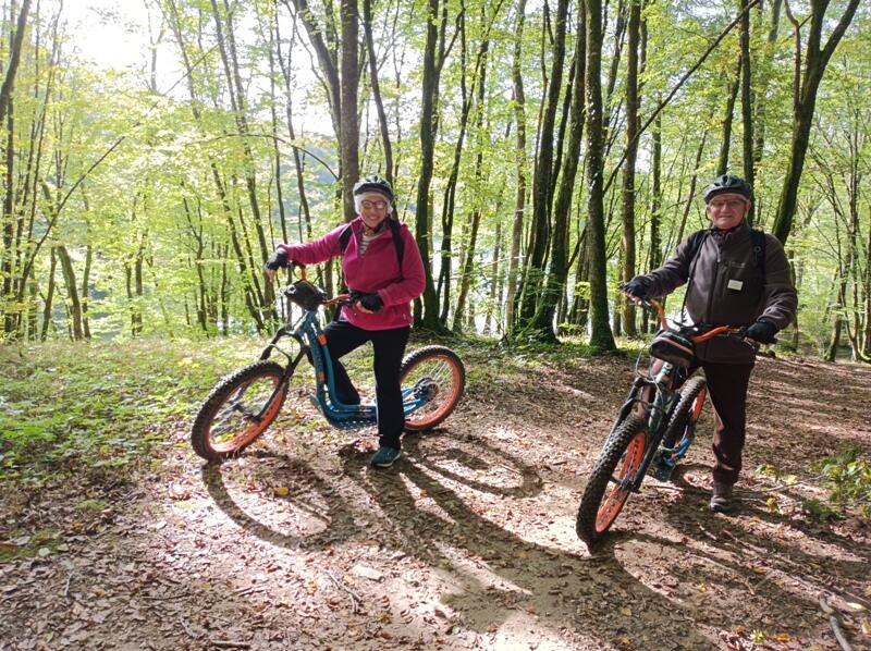 Trottinettes électriques
