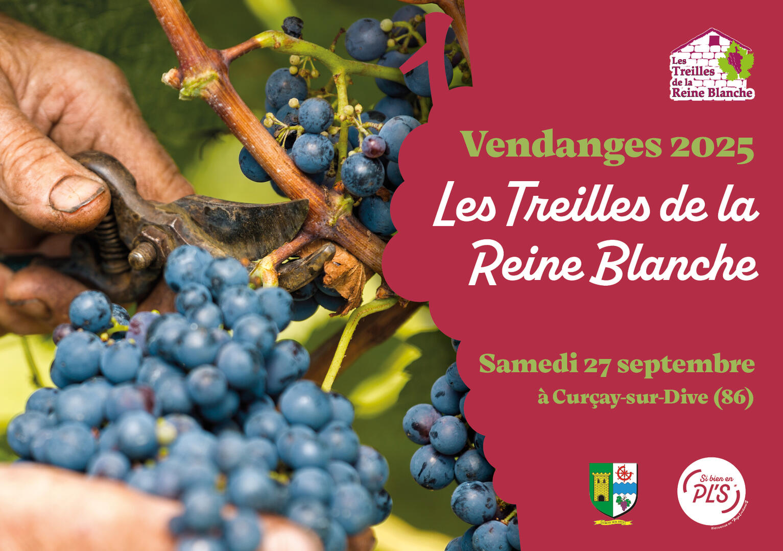 Vendanges Treilles_2025