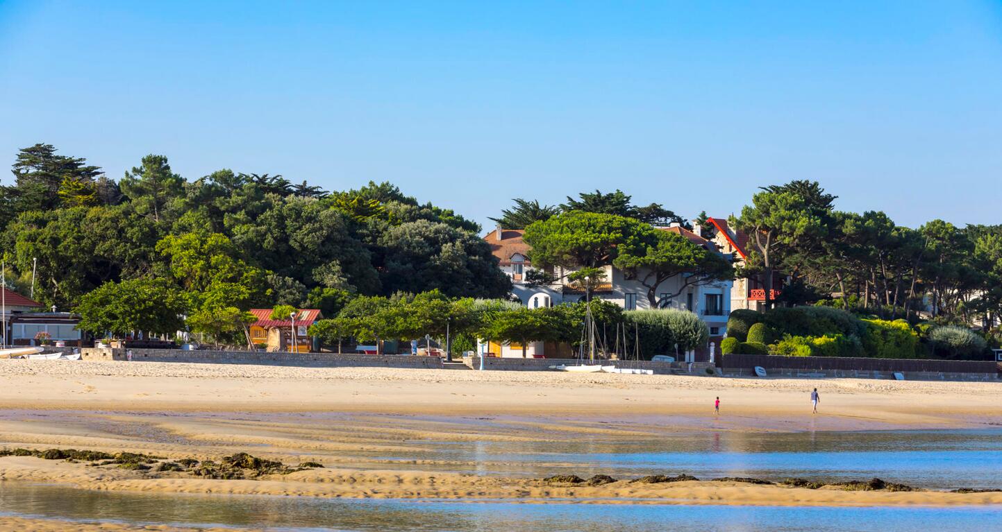 arbousier plage