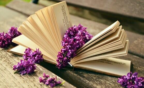 book-759873__340