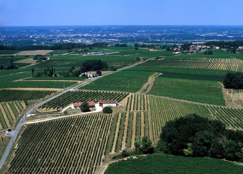 chateau-du-haut-pezaud (6)