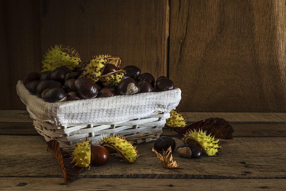 chestnuts-2819416-960-720