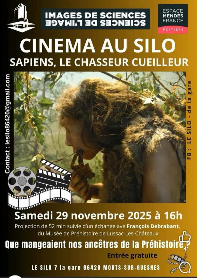 cine au silo