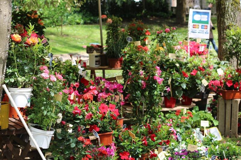 fetedesfleurs_eymet