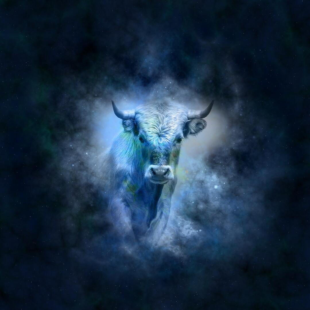 horoscope-639127_1280