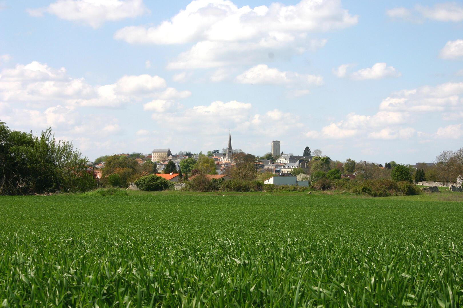 vue générale