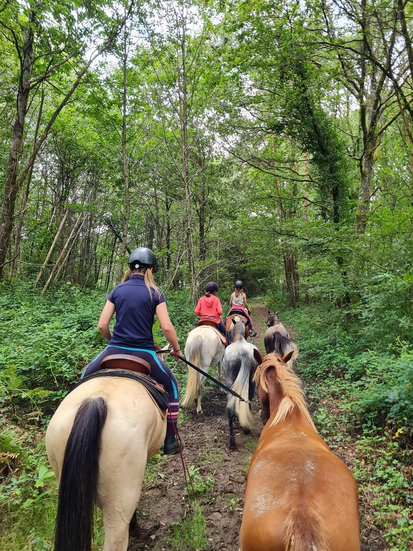rando equestre