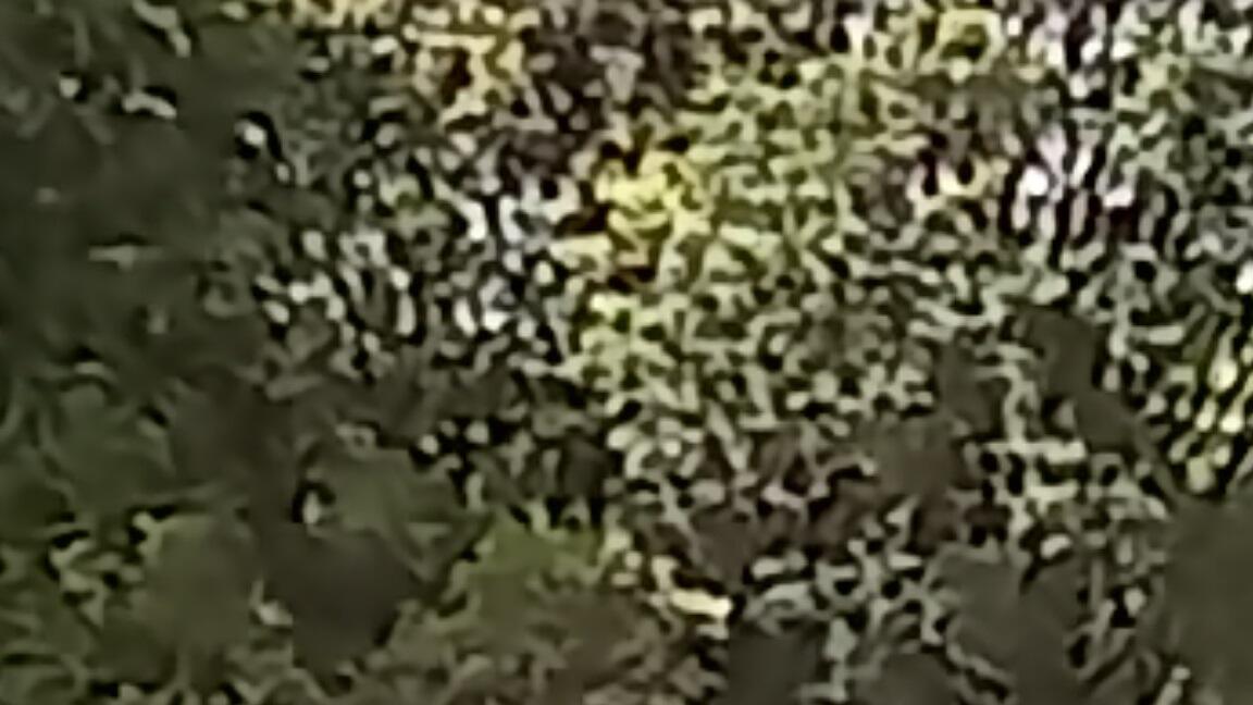 52