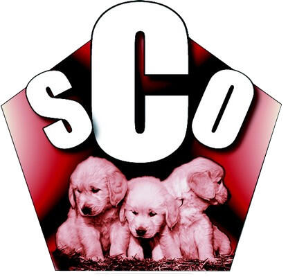 589548_logo-sco-chiots