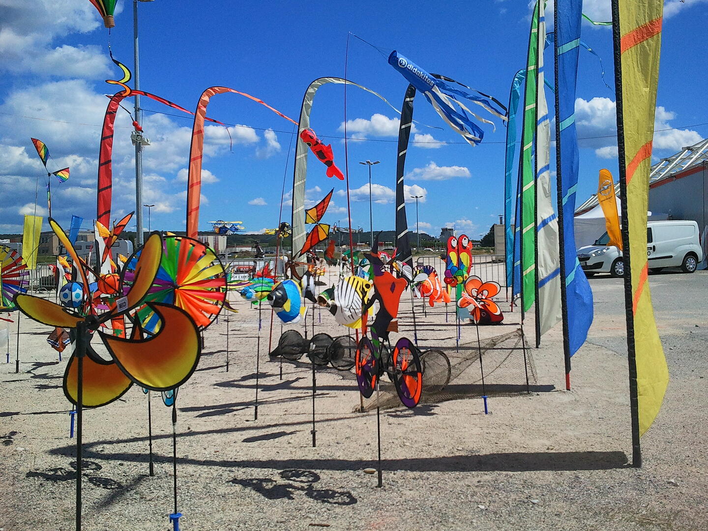 649425_photo2276