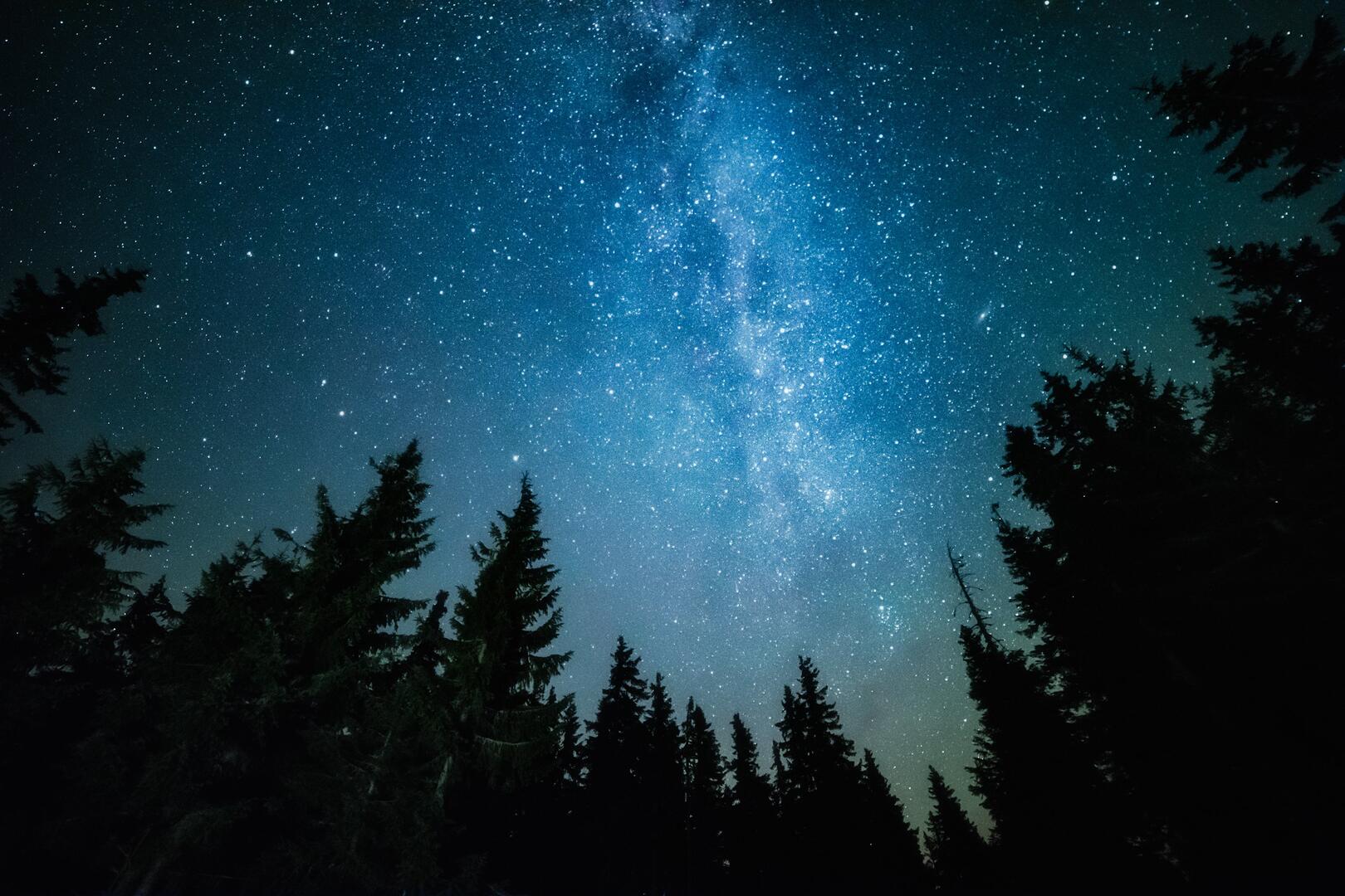 2-06-ciné2©shutterstock_384983128