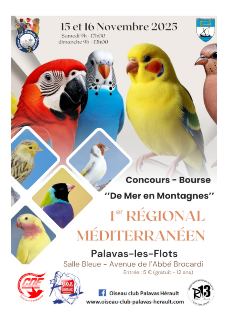2025-11-16 oiseaux