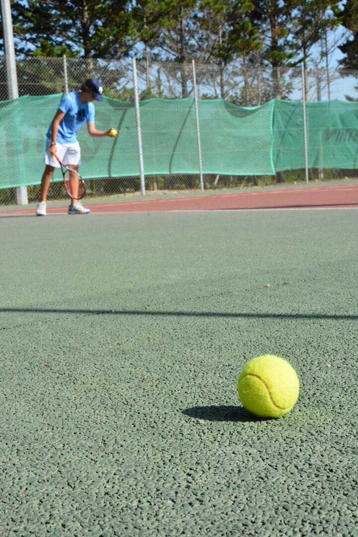 257688_2015_tennis