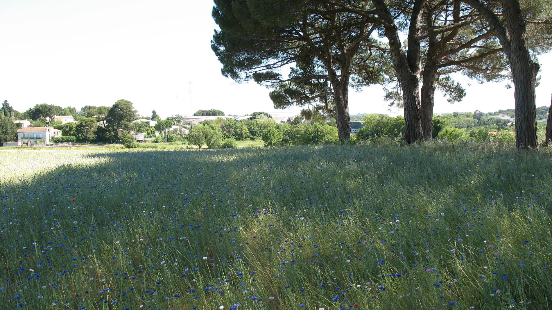 Agriparc Mas Nouguier