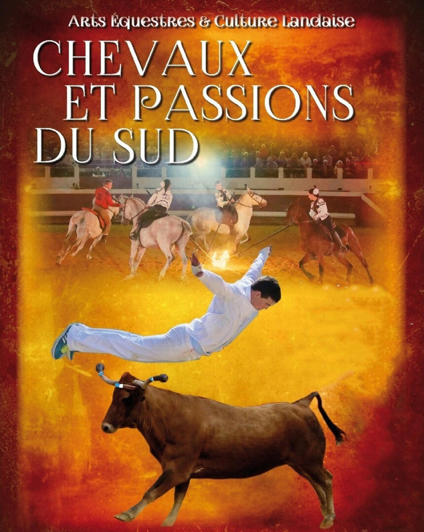 Affiche chevaux et passions du sud
