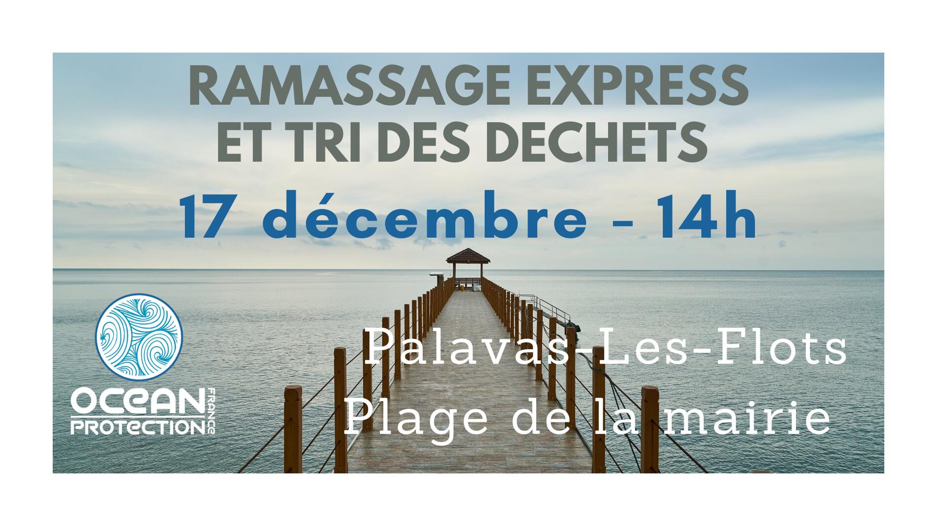 Affiche ramassage Ocean Protection