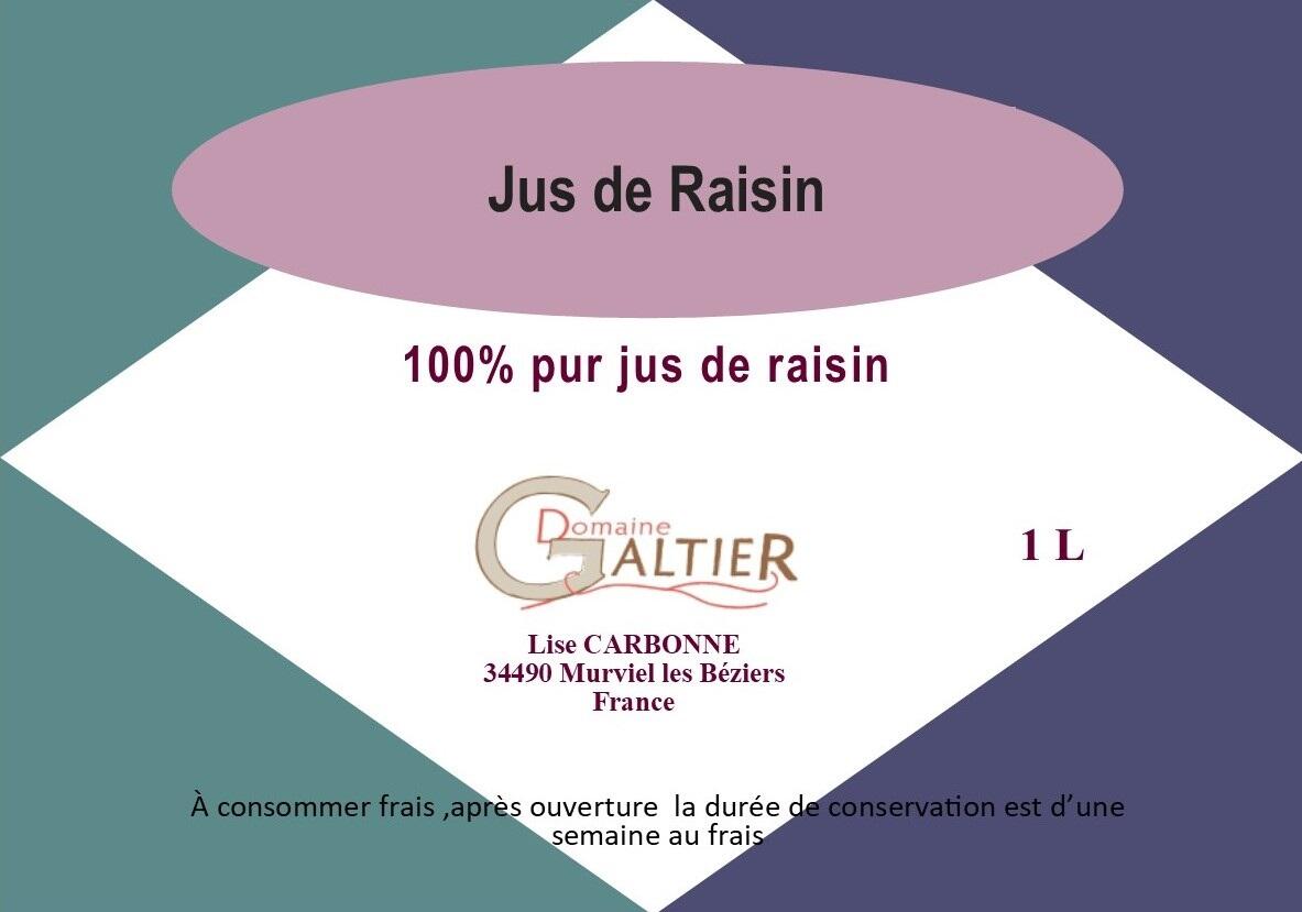 Domaine Galtier jus de raisin galtier nx - OT AVANT MONTS 2022