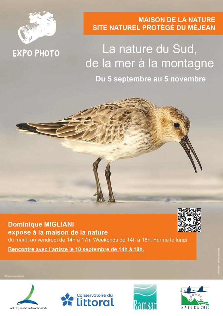 Dominique Migliani_page-0001