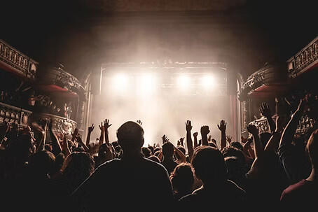 Foule dans un concert