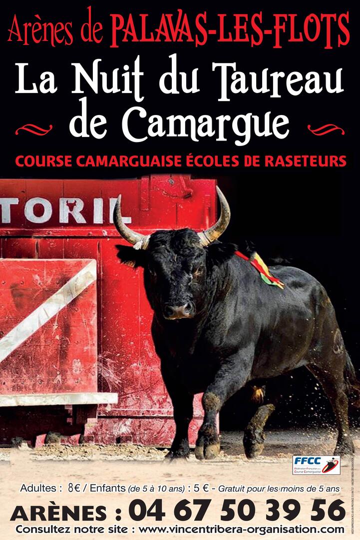 LA NUIT DU TAUREAU DE CAMARGUE