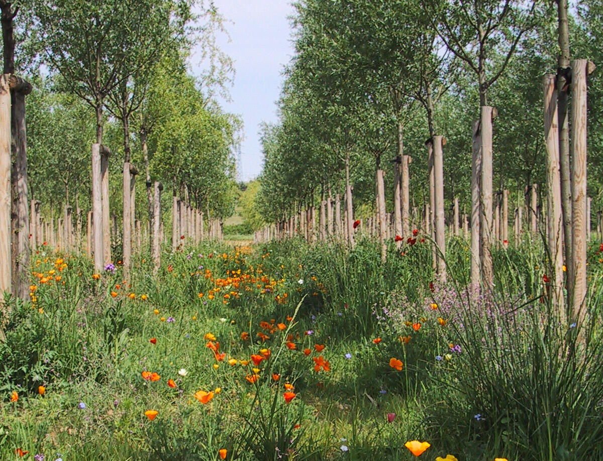 Parc-Georges-Charpak2_michel-bonnet