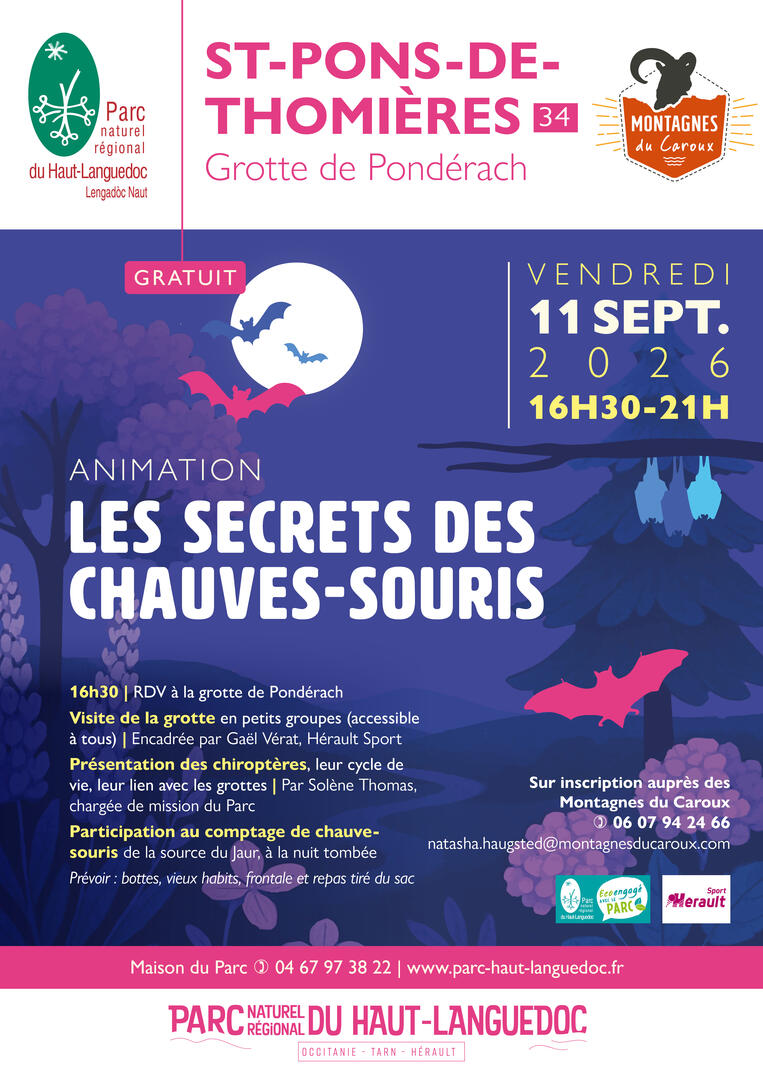 Secrets des chauvesouris Septembre 26